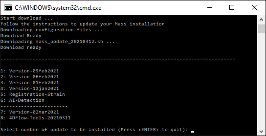 Mass Update Window